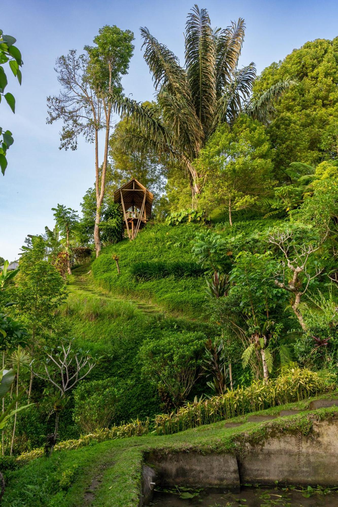 Garden Terrace Bali Bed & Breakfast Gobleg  Exterior photo