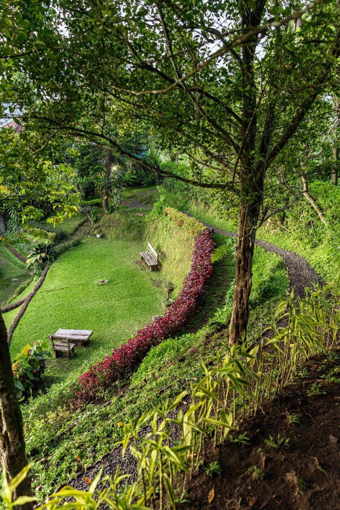 Garden Terrace Bali Bed & Breakfast Gobleg  Exterior photo