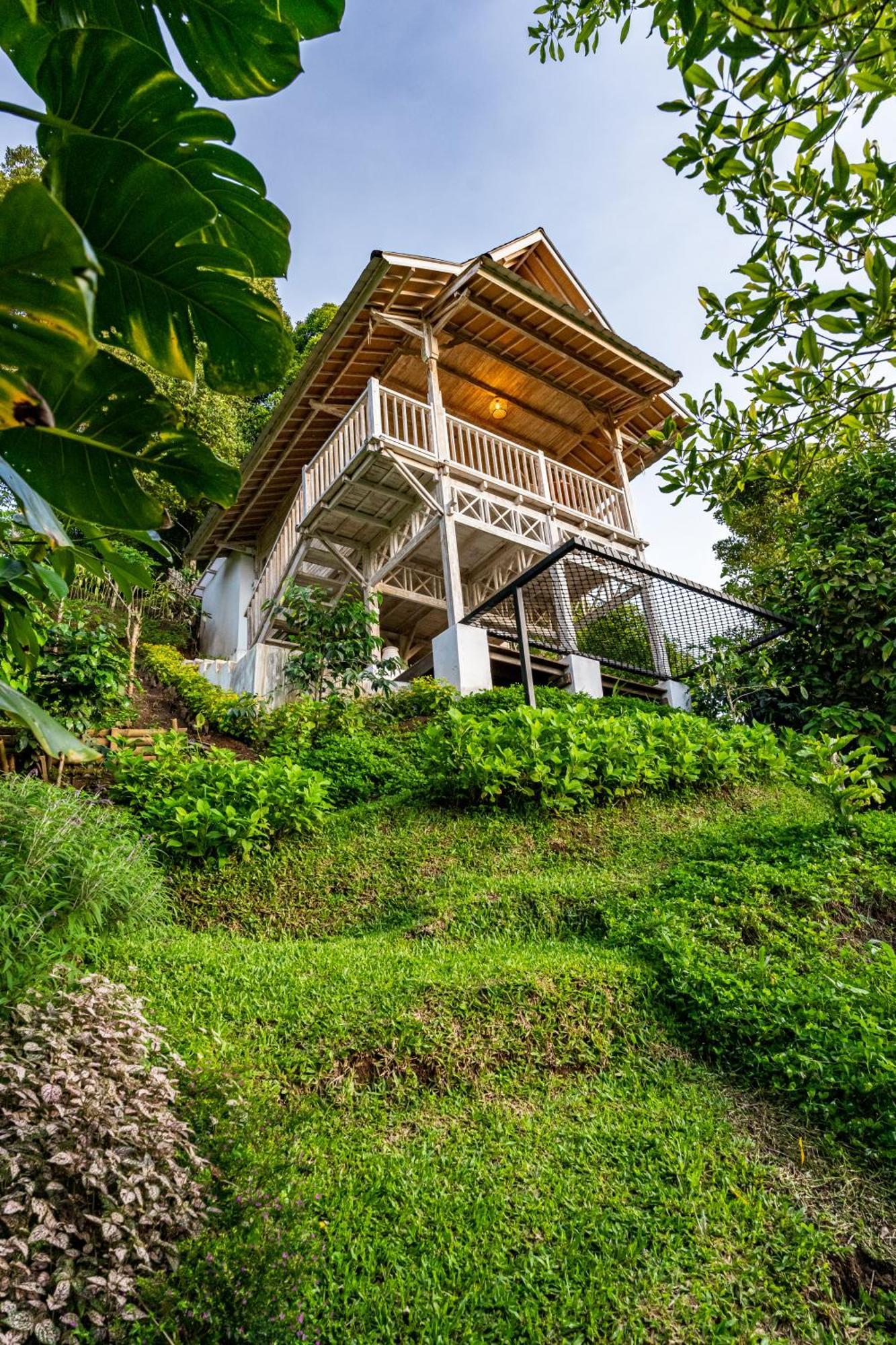 Garden Terrace Bali Bed & Breakfast Gobleg  Exterior photo