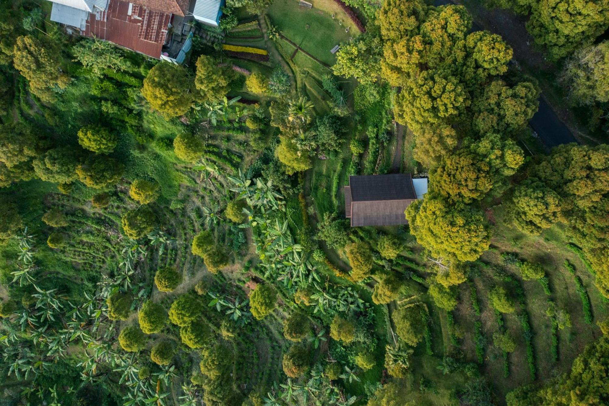 Garden Terrace Bali Bed & Breakfast Gobleg  Exterior photo