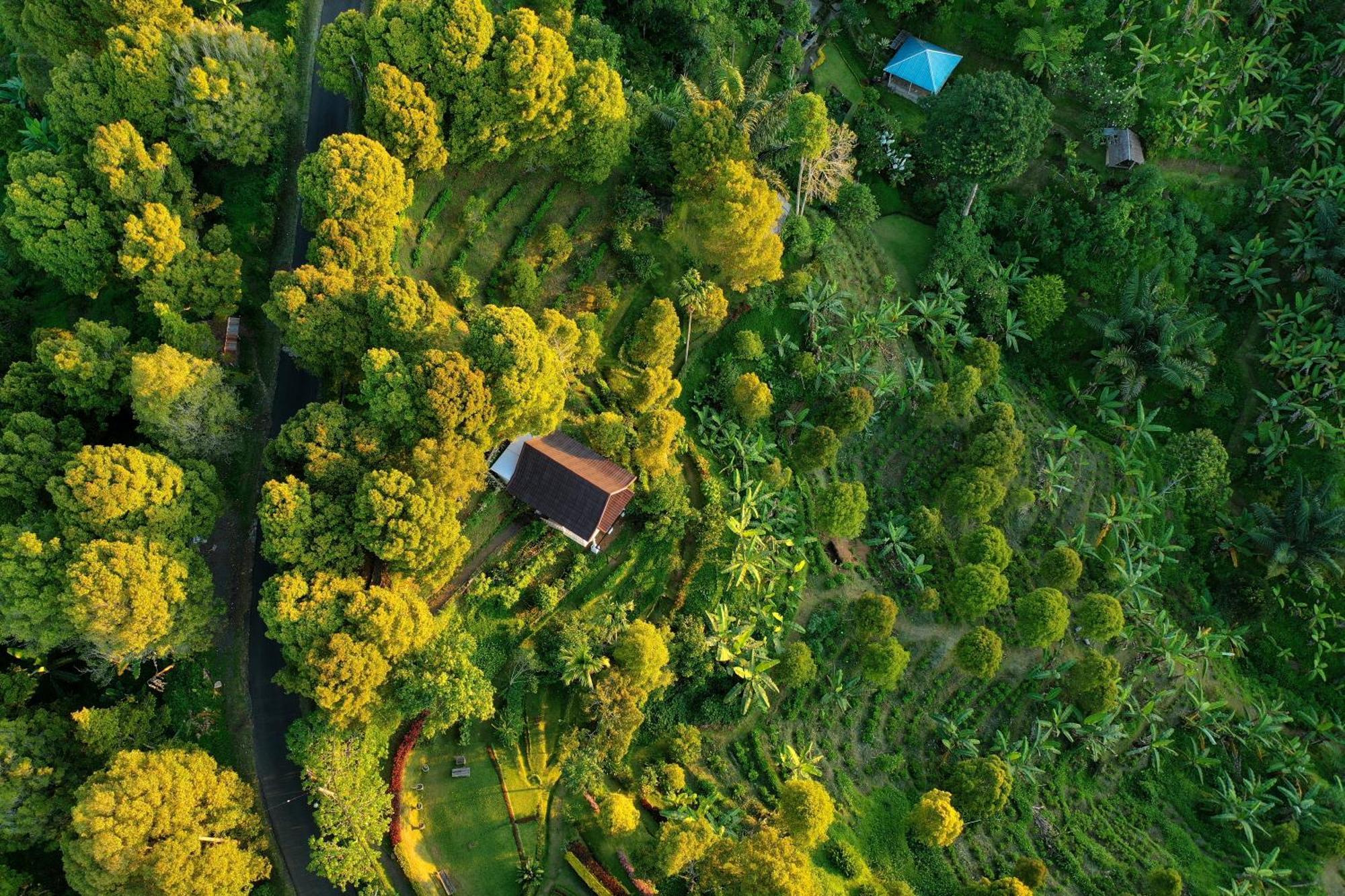 Garden Terrace Bali Bed & Breakfast Gobleg  Exterior photo